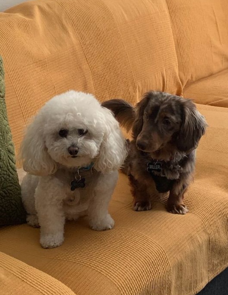 Miller and Marley