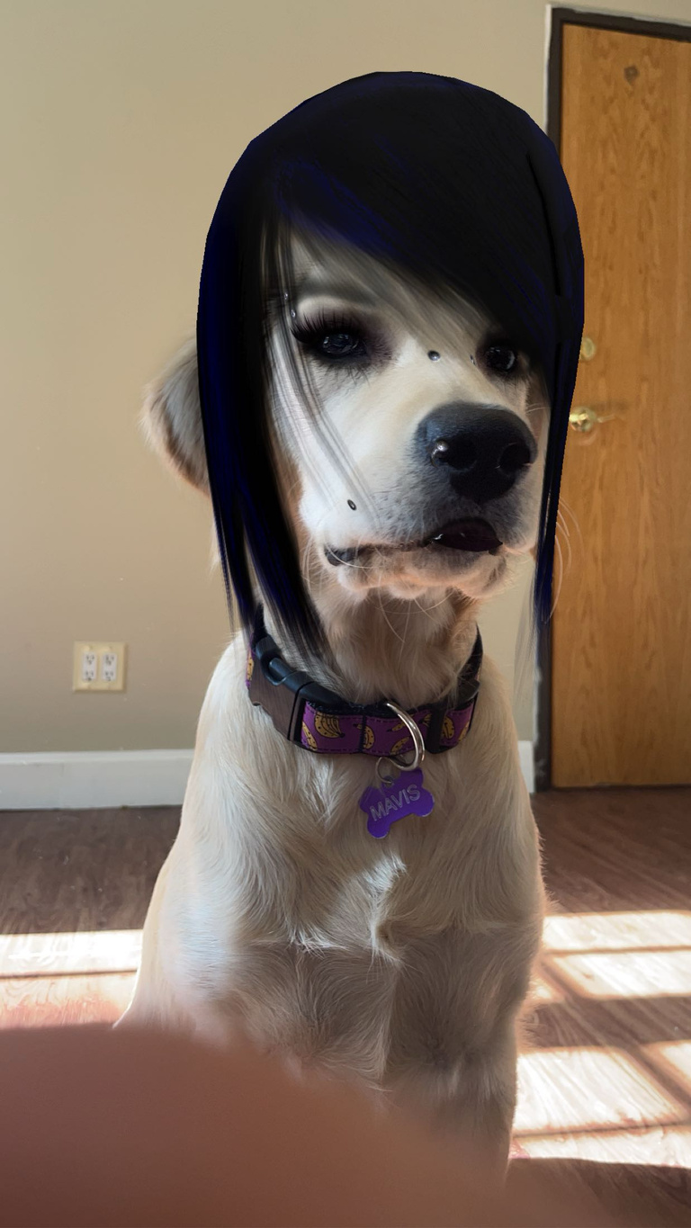 Mavis #3